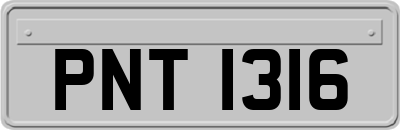 PNT1316