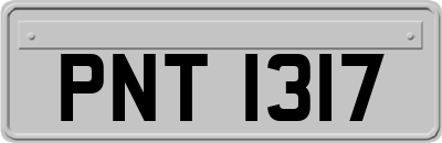 PNT1317