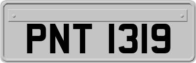 PNT1319