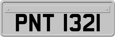 PNT1321