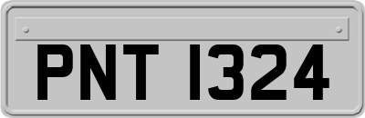 PNT1324