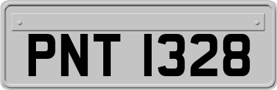 PNT1328