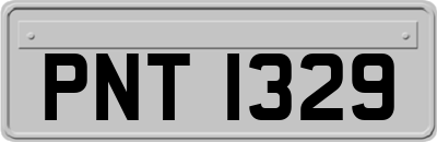 PNT1329