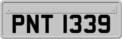 PNT1339