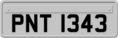 PNT1343