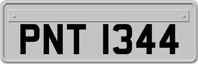 PNT1344
