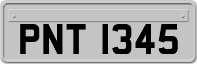 PNT1345