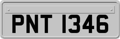 PNT1346