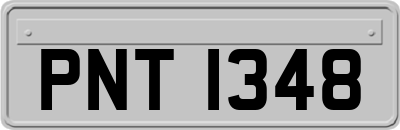 PNT1348