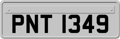 PNT1349