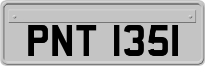 PNT1351