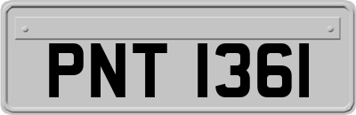 PNT1361