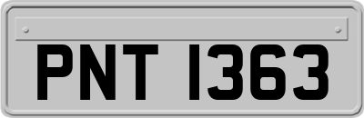 PNT1363