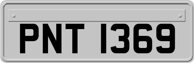 PNT1369