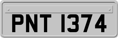 PNT1374