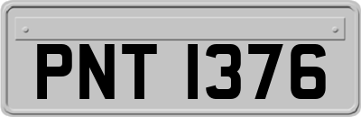 PNT1376