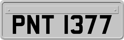 PNT1377