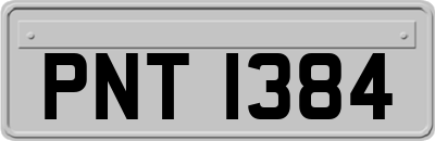 PNT1384