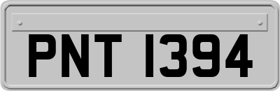 PNT1394