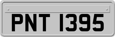 PNT1395