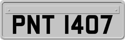 PNT1407