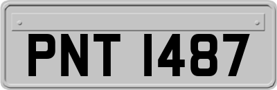 PNT1487