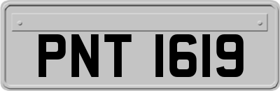 PNT1619