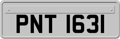 PNT1631