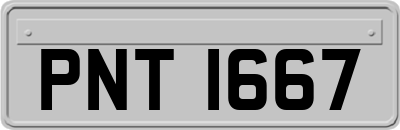 PNT1667