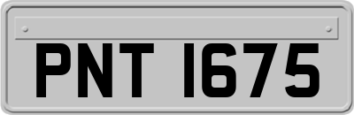 PNT1675