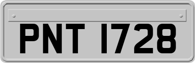 PNT1728