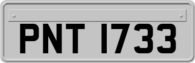 PNT1733