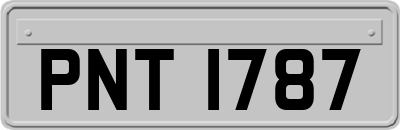 PNT1787