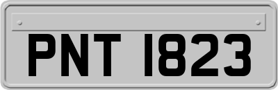 PNT1823