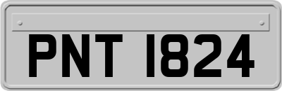 PNT1824
