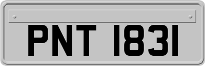 PNT1831