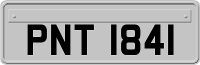 PNT1841