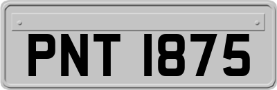PNT1875