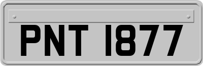 PNT1877
