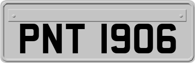 PNT1906