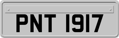 PNT1917