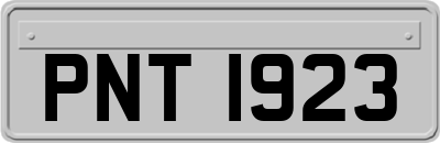 PNT1923