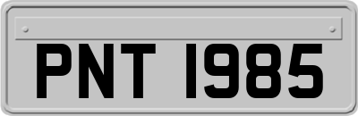 PNT1985