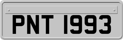 PNT1993