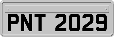 PNT2029