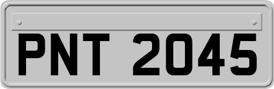 PNT2045