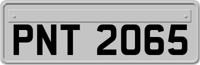 PNT2065