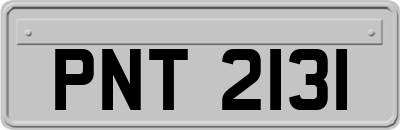 PNT2131
