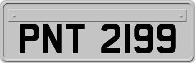 PNT2199