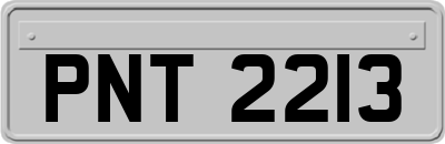 PNT2213